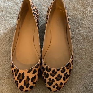 J Crew Leopard flats